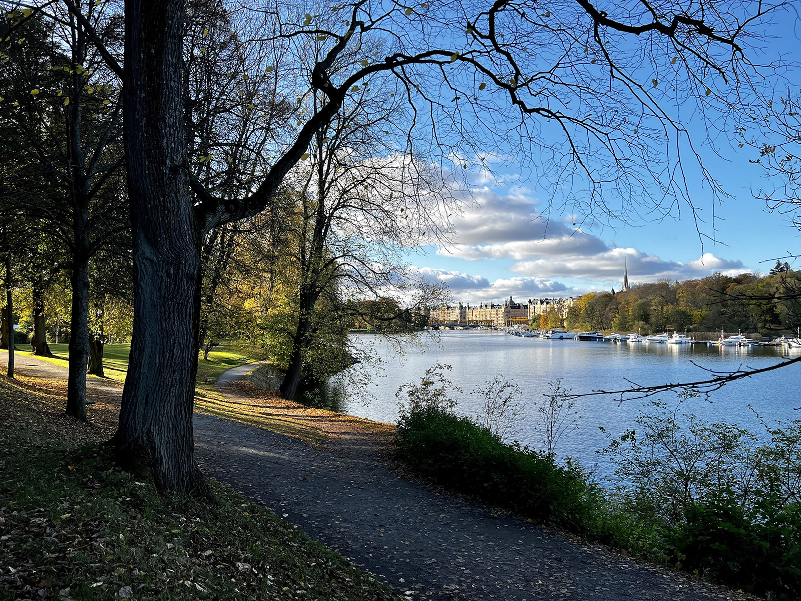 Djurgården Park