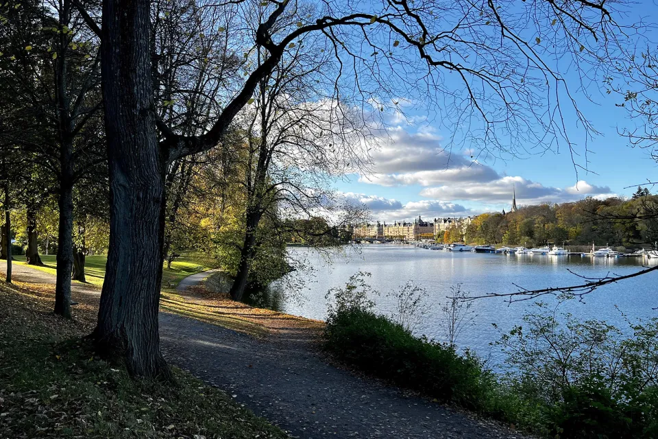 Djurgården Park