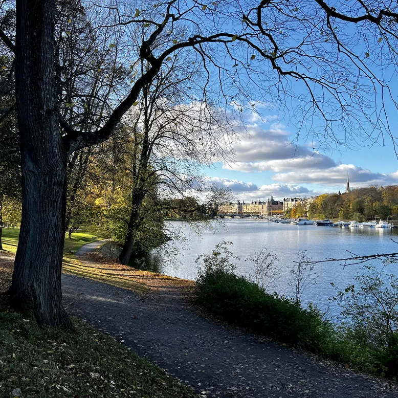 Djurgården Park