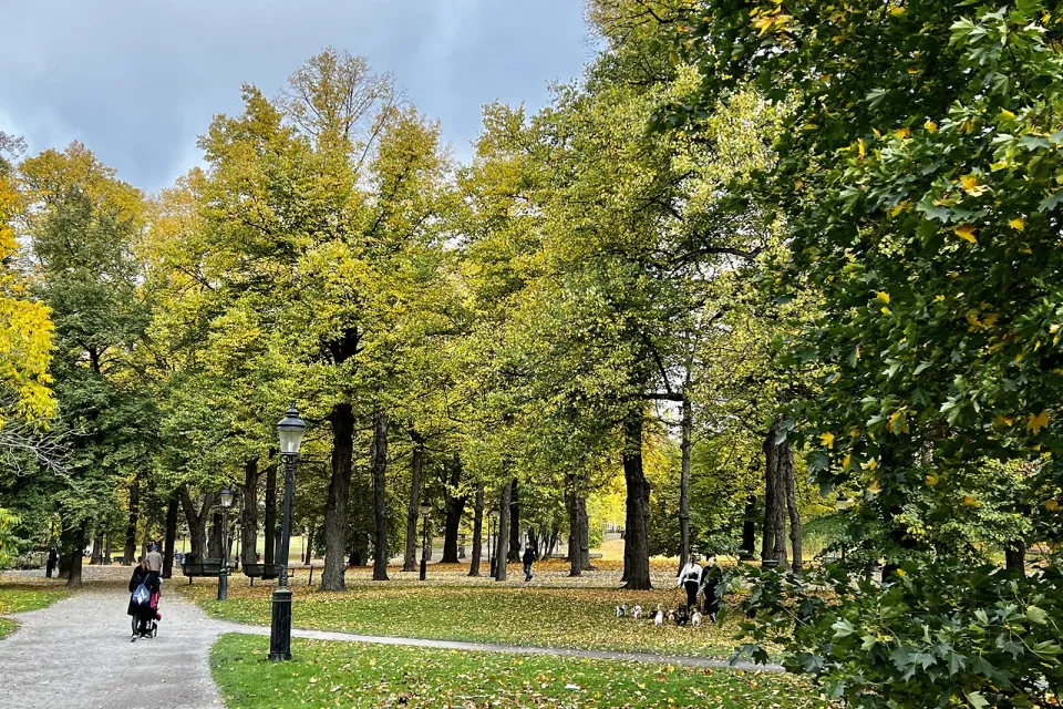 Humlegården