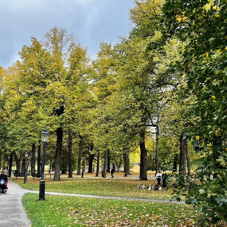 Humlegården
