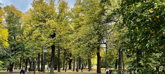 Humlegården