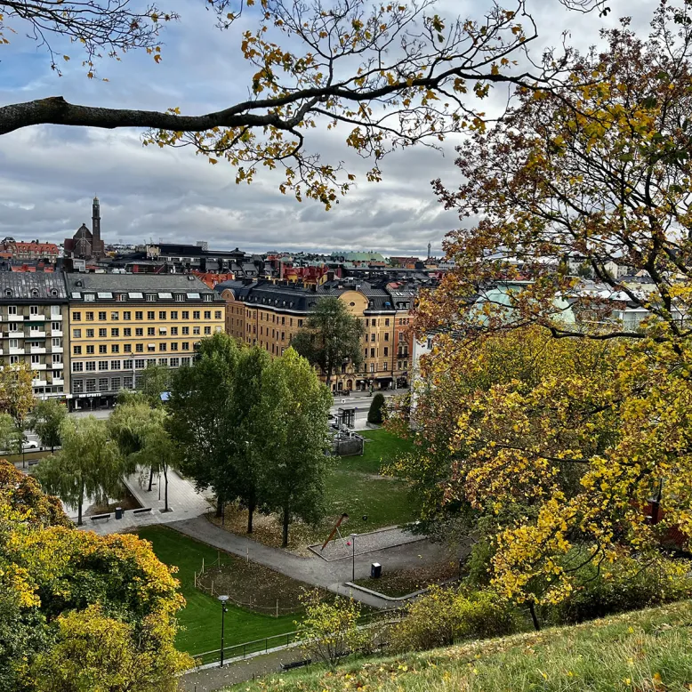 Observatorielunden