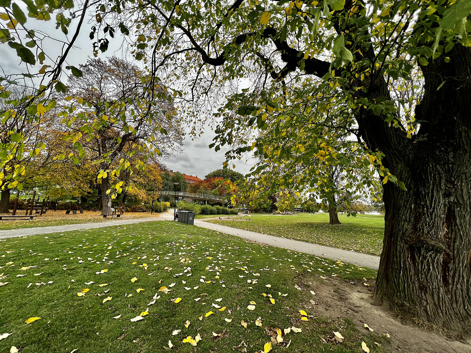 Rålambshovs­parken