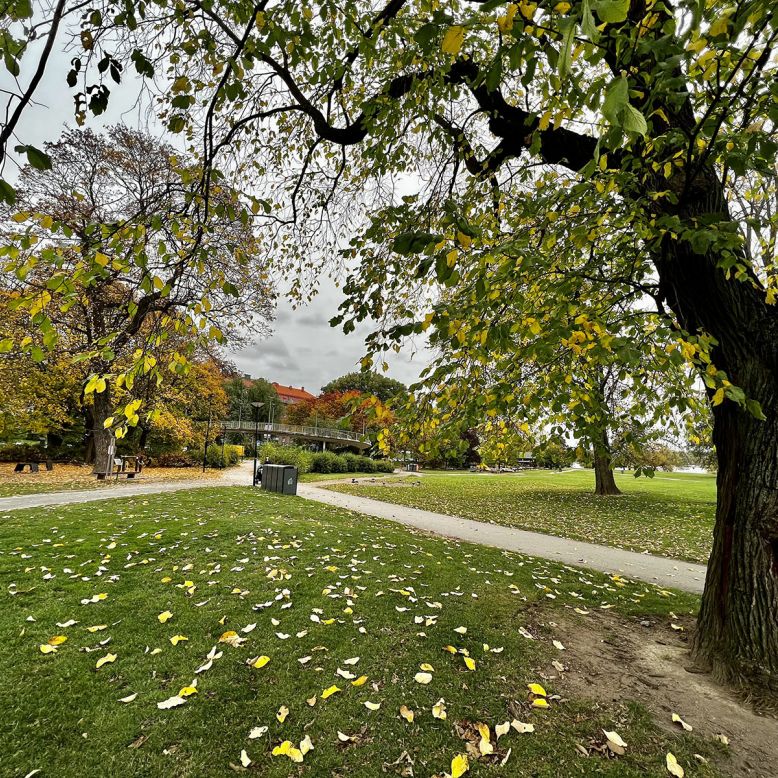 Rålambshovsparken