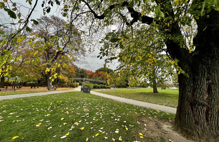 Rålambshovsparken