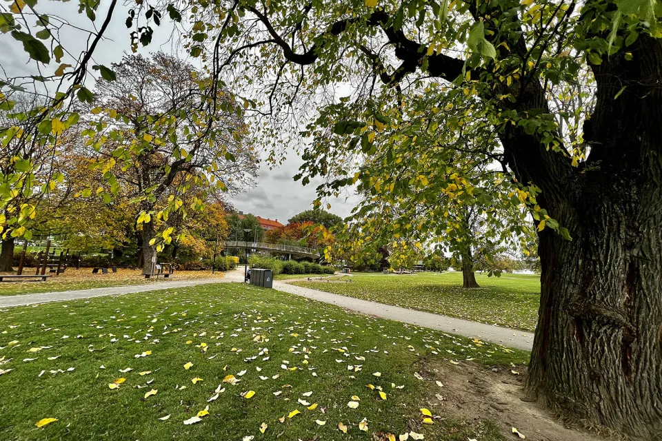 Rålambshovsparken