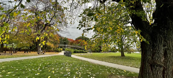 Rålambshovsparken