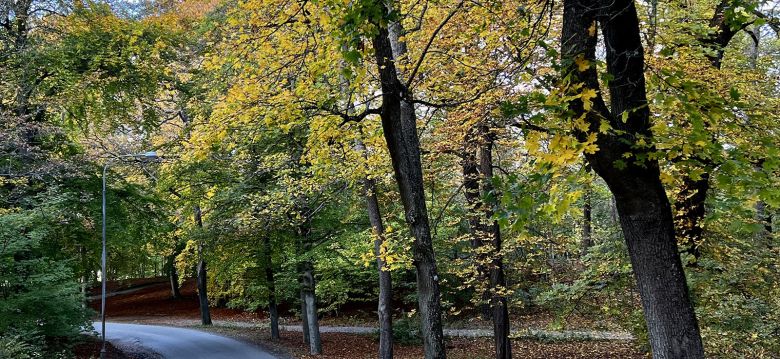 Royal National City Park