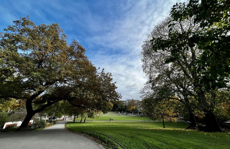 Vasaparken