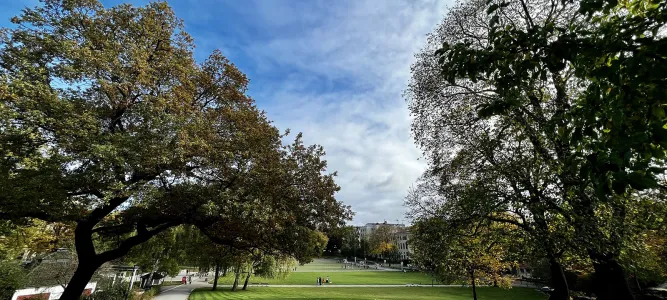 Vasaparken