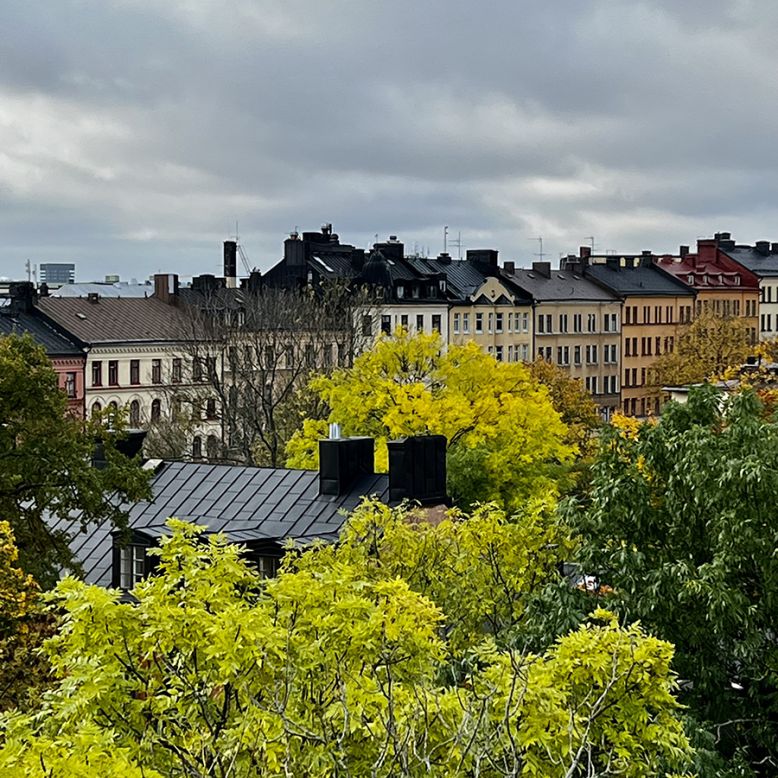 Skinnarviksparken