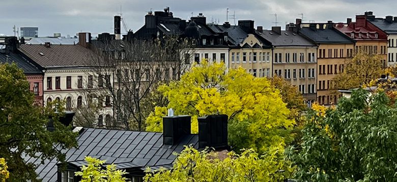 Skinnarviksparken