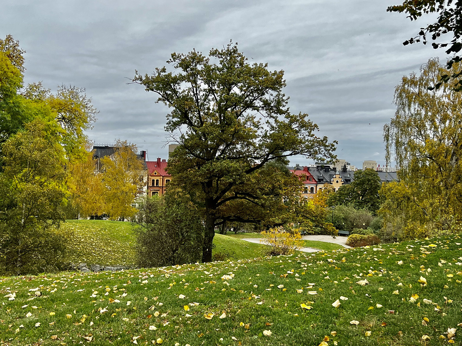 Kronobergs­parken