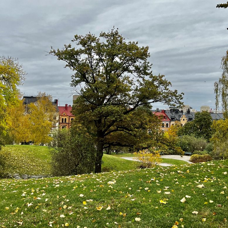Kronobergsparken