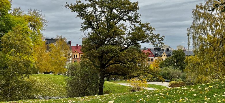 Kronobergsparken