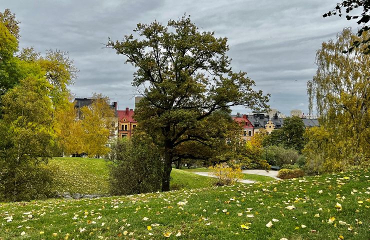 Kronobergsparken