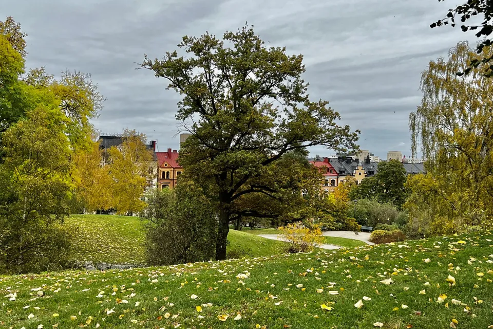Kronobergsparken