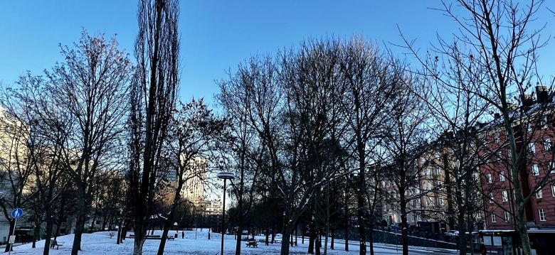 Rosenlundsparken