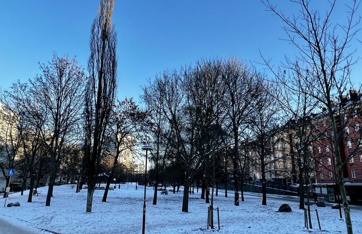 Rosenlundsparken