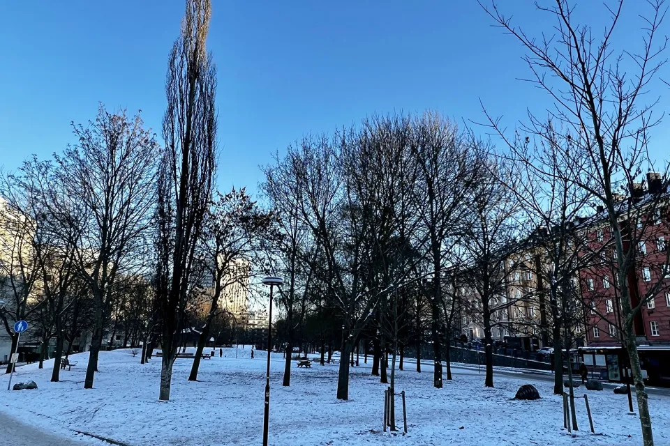 Rosenlundsparken