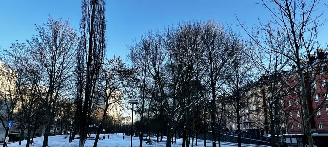 Rosenlundsparken
