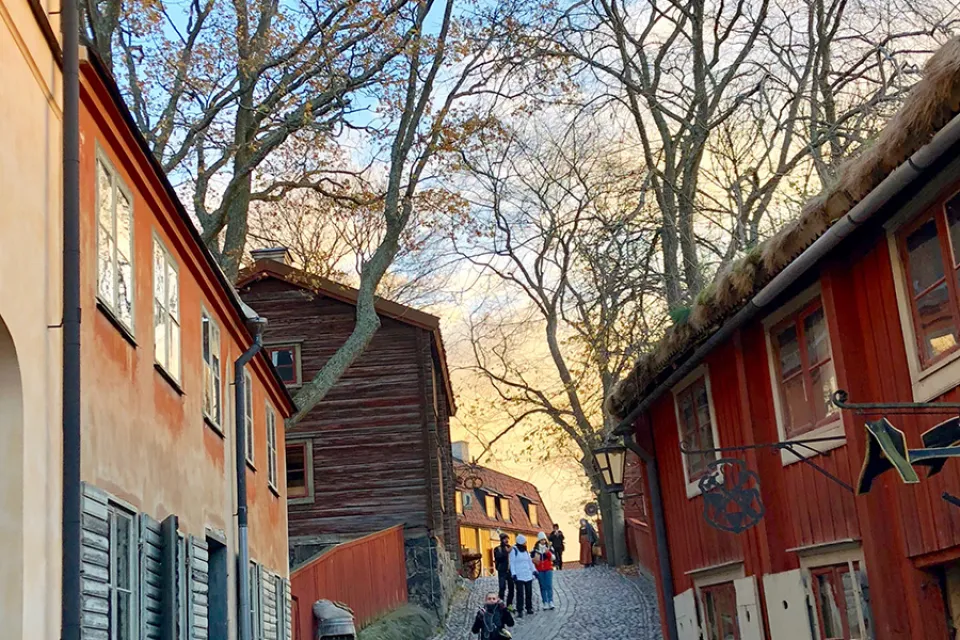 Skansen