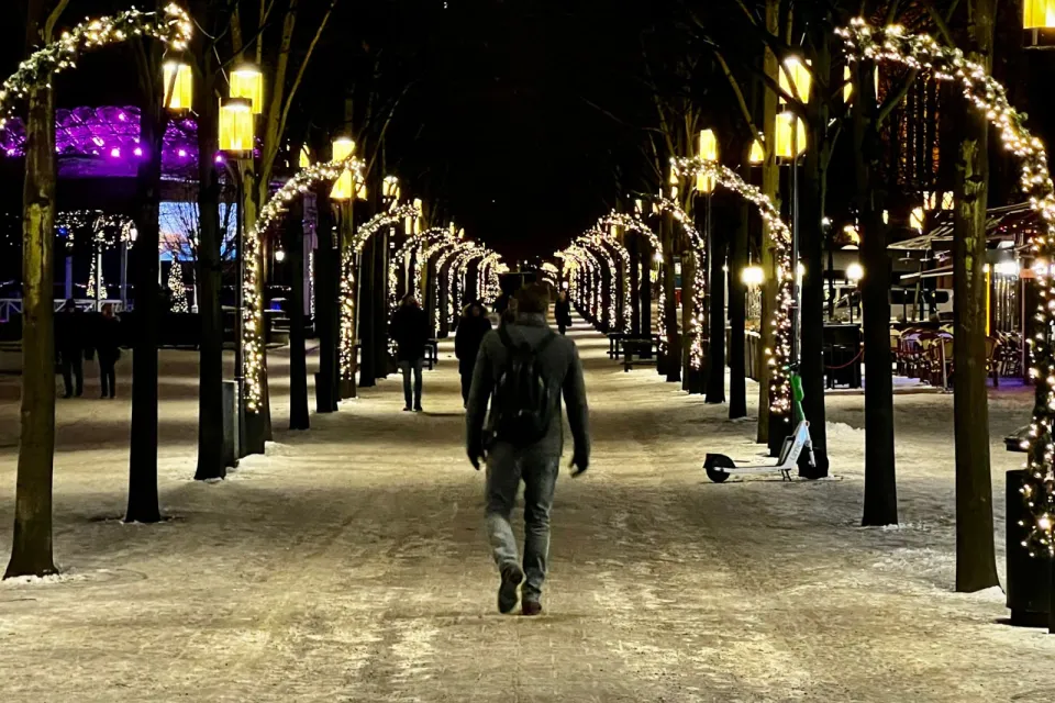 Kungsträdgården