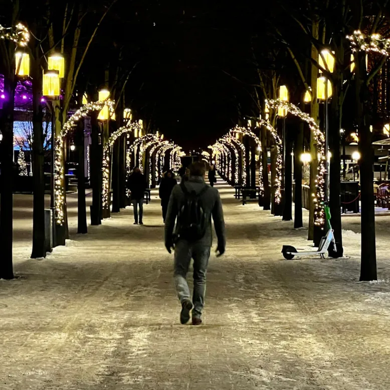 Kungsträdgården