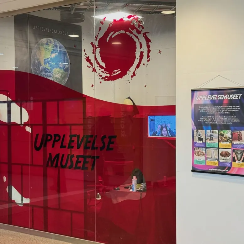 Musée de l'Expérience (Upplevelsemuseet)