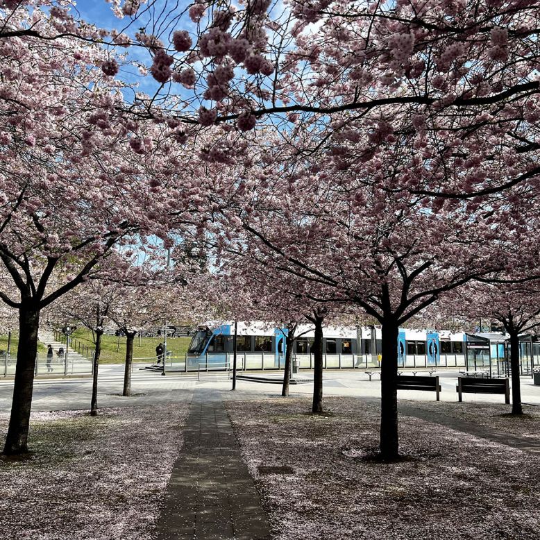 Lumaparken
