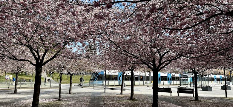 Lumaparken