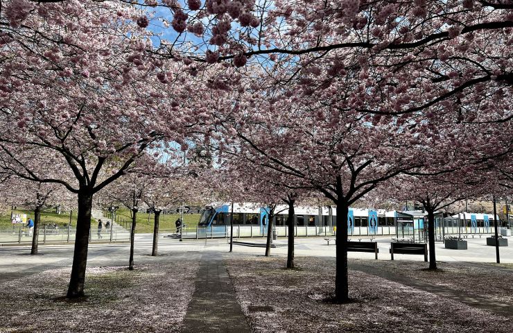 Lumaparken