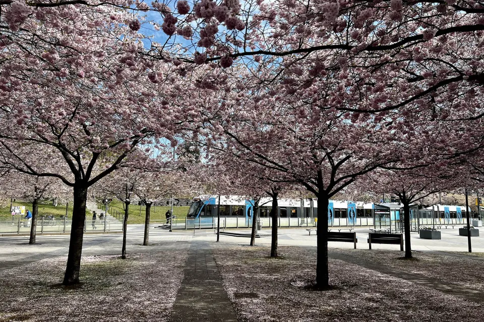 Lumaparken
