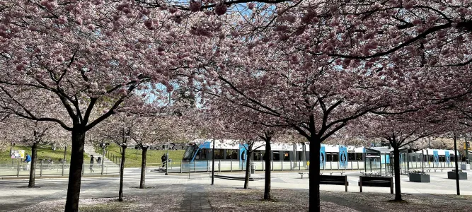 Lumaparken