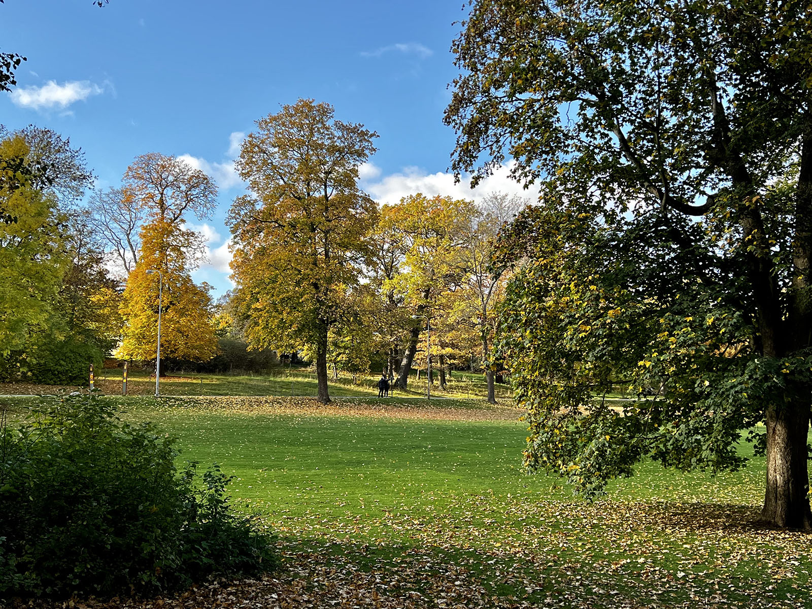 Rosendals Trädgård