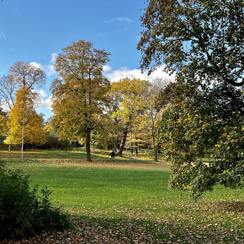 Rosendals Trädgård