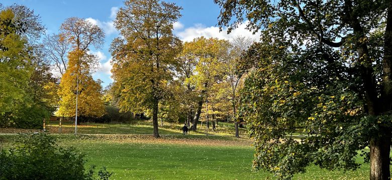 Rosendals Trädgård