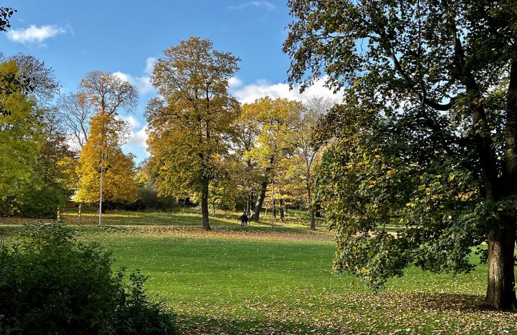 Rosendals Trädgård