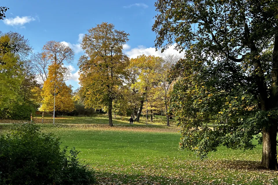 Jardin de Rosendal (Rosendals Trädgård)