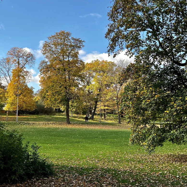 Jardin de Rosendal (Rosendals Trädgård)