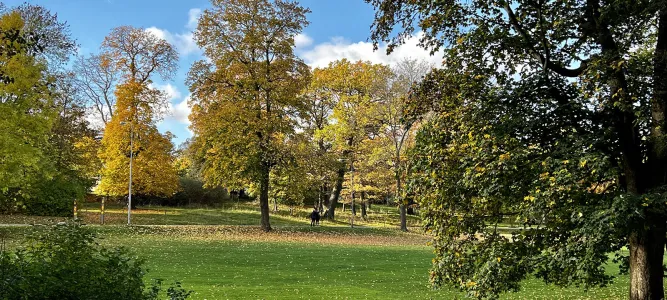 Jardin de Rosendal (Rosendals Trädgård)