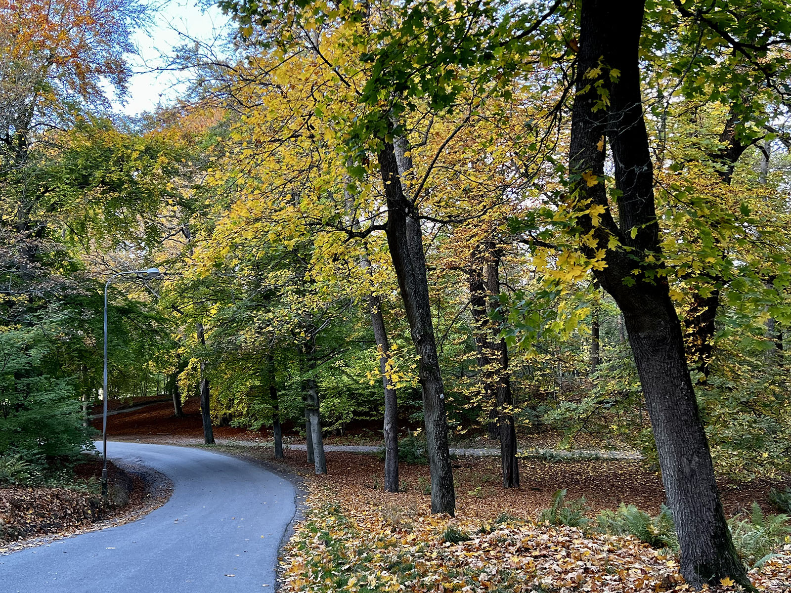 Kungliga Djurgården