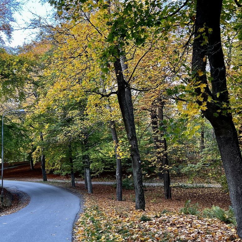 Kungliga Djurgården