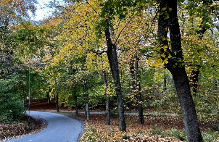 Kungliga Djurgården