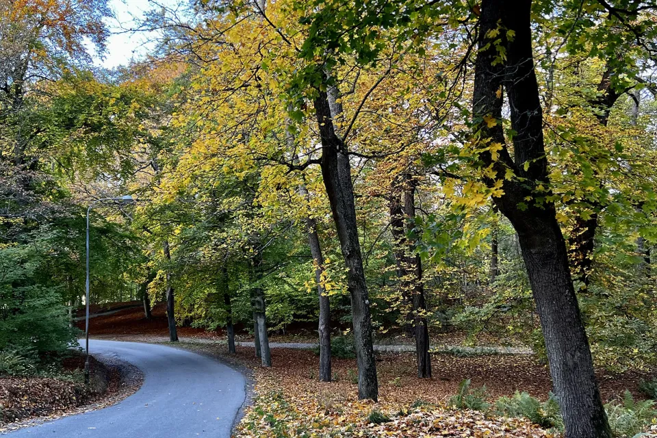 Kungliga Djurgården