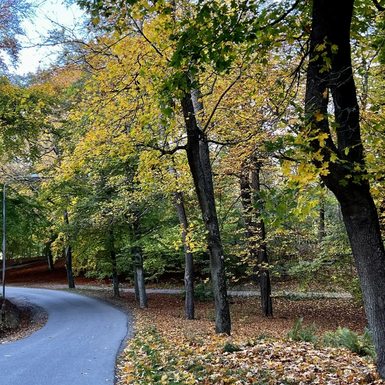 Kungliga Djurgården