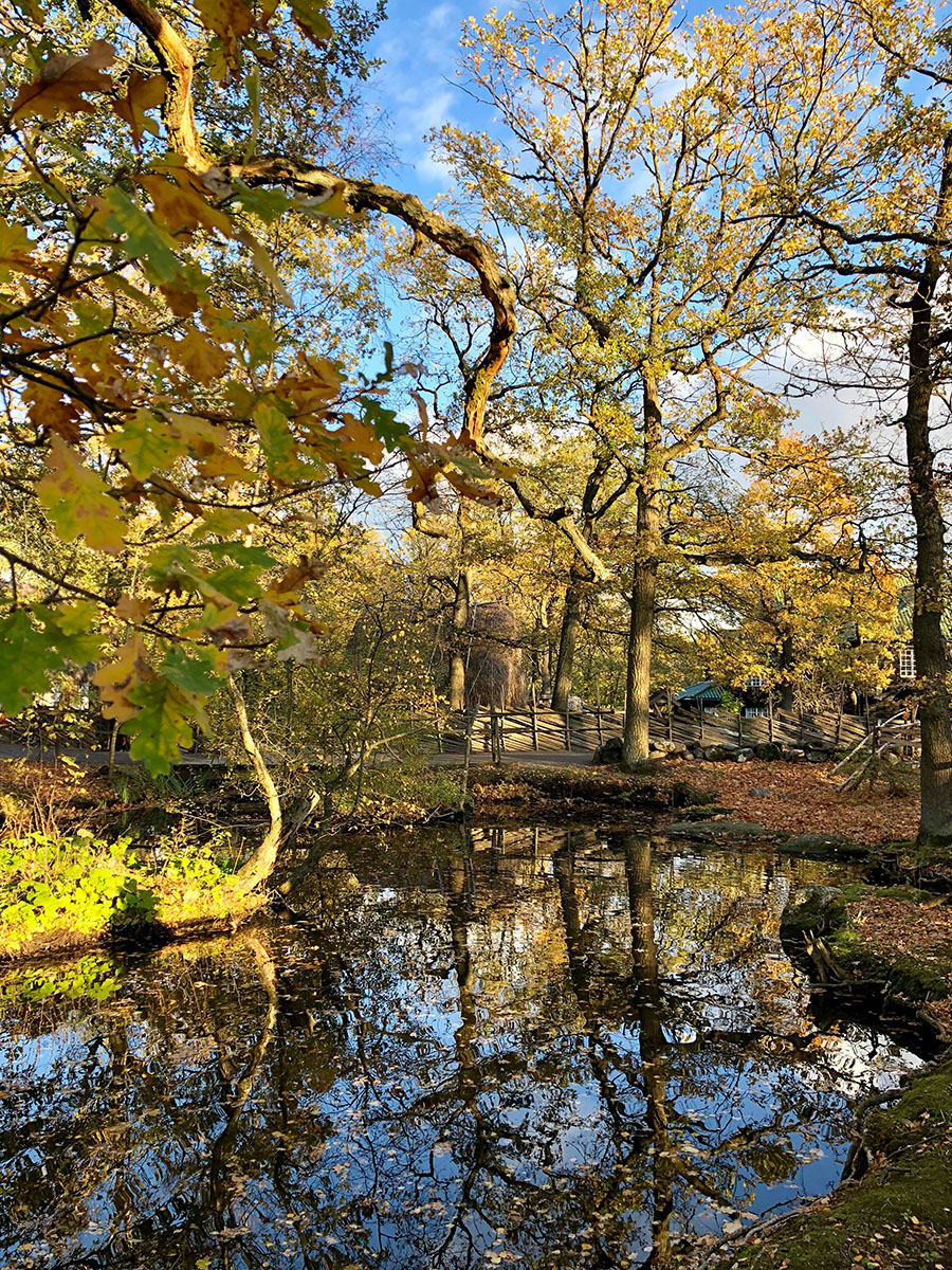 Skansen