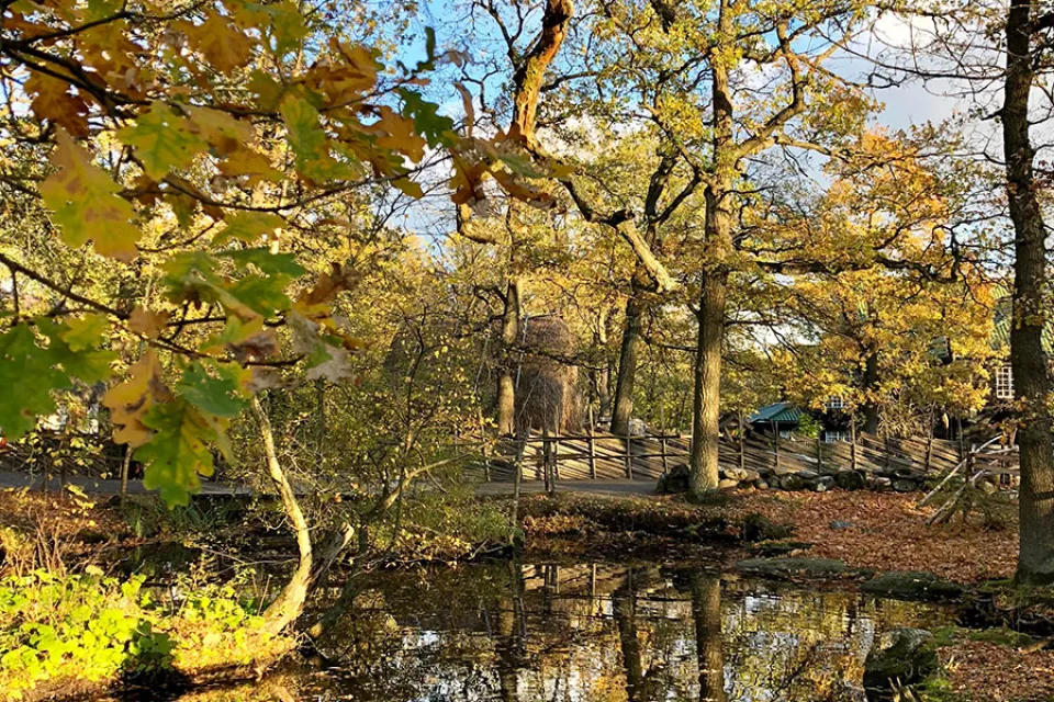 Skansen
