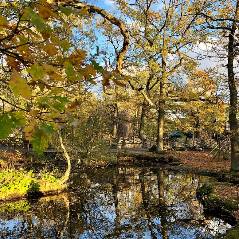 Skansen
